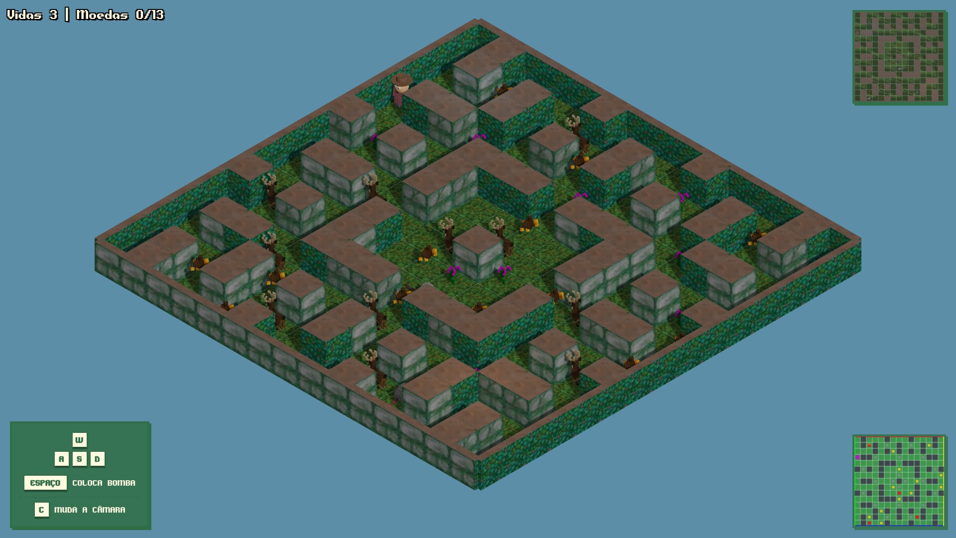 câmara em perspetiva isométrica, com minimapa